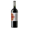 VINO TINTO VERAMONTE CABERNET SAUVIGNON 750 ML